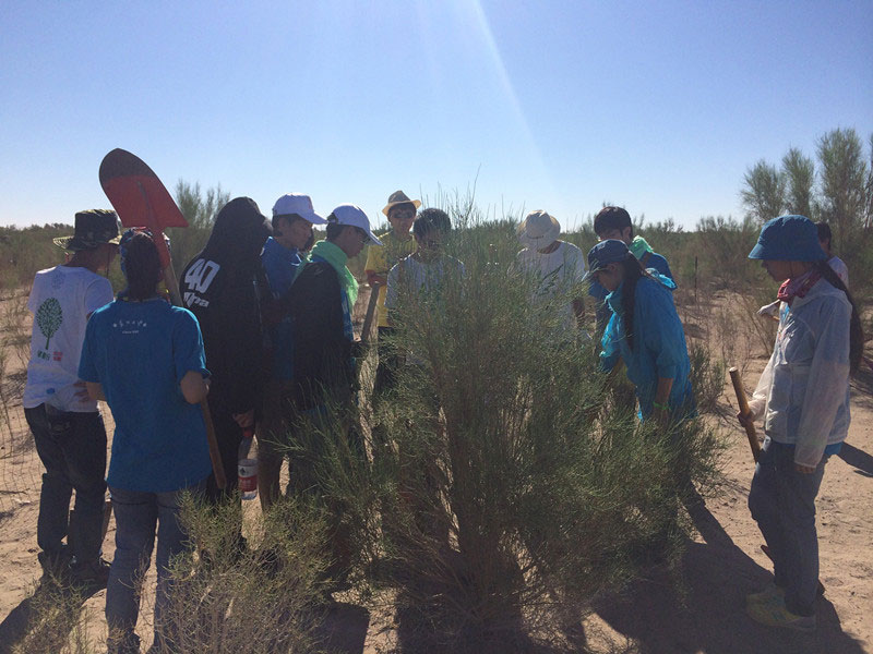 ������Ҫ��һ���ļ��ɺͽ�(j��ng)���ͬ�W(xu��)���_ʼ������һƬ�����ַ��ز����^�m(x��)�����[�ص�����