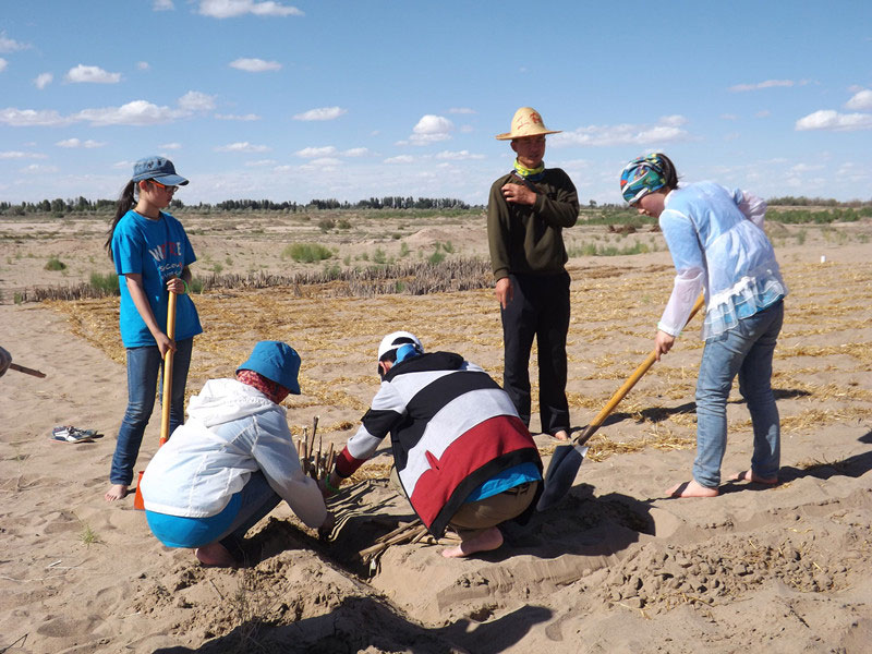 �@�N1.5��Ҋ(ji��n)�������ݸ�������ɳЧ����������^(gu��)4��5���͕�(hu��)�L(f��ng)�g��������Ҫ�����a(b��)����