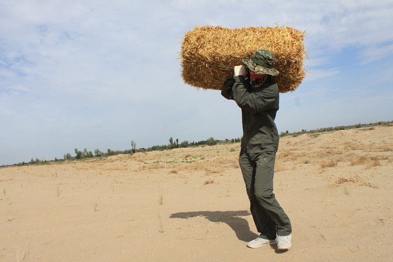 �F(tu��n)�T���i�������ݣ����ϳ����ģ����������؟(z��)����