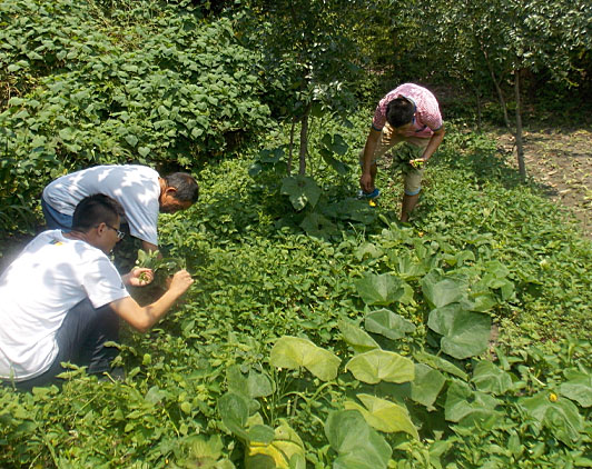 �ڶ������(du��)�T���_(k��i)ʼ��(l��i)�����B(t��i)�r(n��ng)��(ch��ng)�w�(y��n)�r(n��ng)��������������ժ����