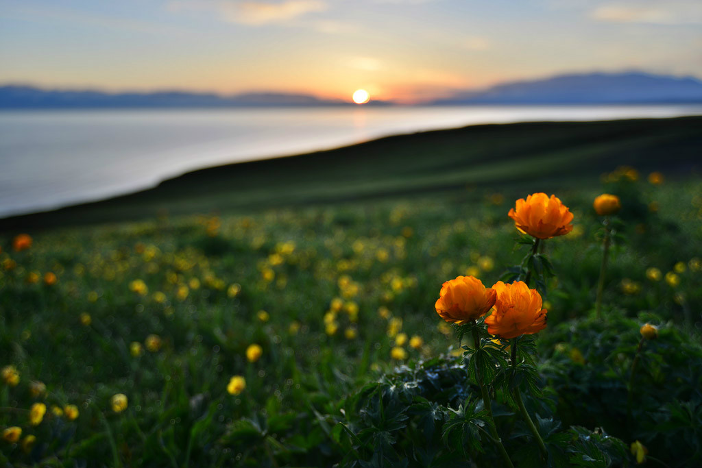 ���(hu��)�����l(xi��ng)�ĸ����