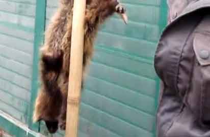 Ұ�����ﱻ���̵�����u