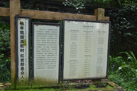 �D6 �ۇ�(gu��)Ů��(sh��)�I(y��)������(gu��)ģͬ־����Ԋ�~���ޝ�� �z��