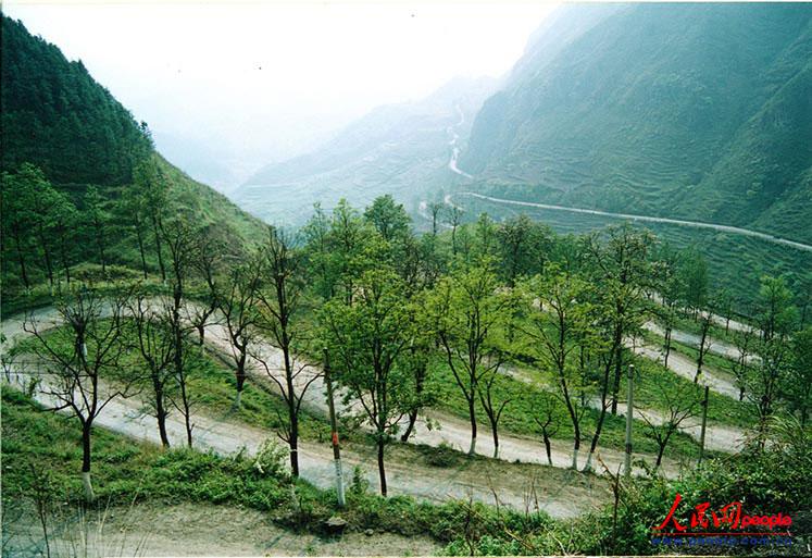 ��¡��24���ա�֮������ꐁ���?j��n)zӰ��