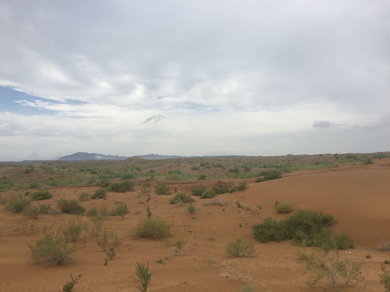 �v����ɳĮ�޾W(w��ng)������ݷ����ﲼ�M�[�d��ɳ��ֲ�