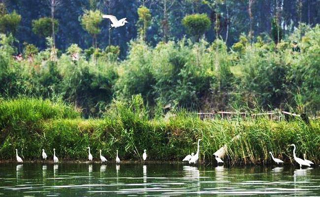 ͯԒ�ϼң���������Ԋ(sh��)�����Ϙ���f����