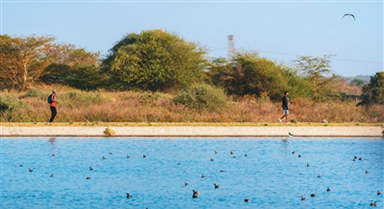 攜手應(yīng)對(duì)全球水挑戰(zhàn)